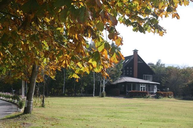 撮ってみると何か良い感じに…。