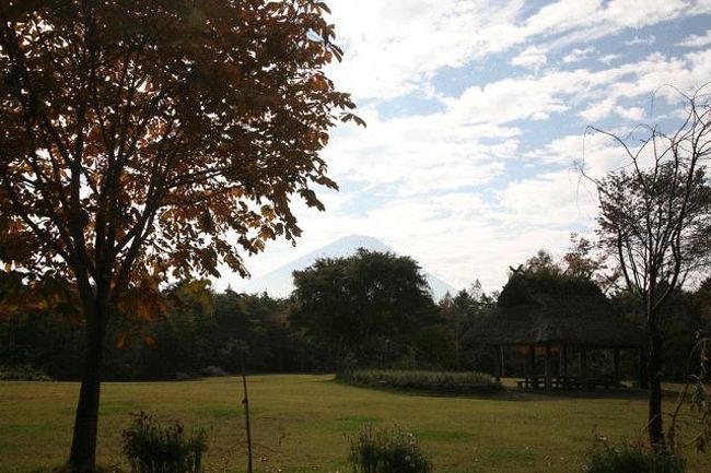 ここからも富士山が見えます。