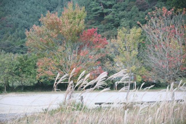 川沿いの道を歩いていきます。少し紅葉していました。