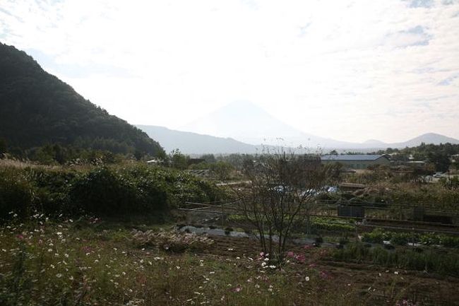 チケットを購入後、富士山をパチリ。逆光なのでイマイチ。