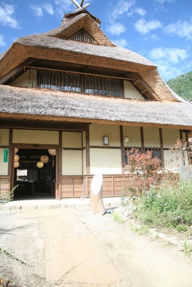 空の青と良い感じです。