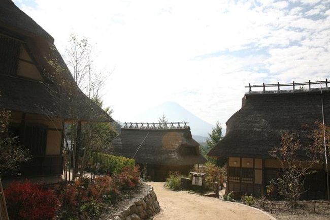 バックに富士山が見えます。<br />でも、逆光でまたまたイマイチ。