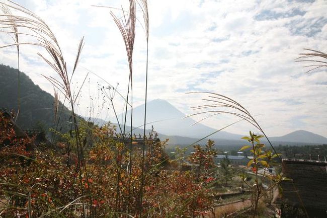 この画像が橋の上かな?<br />こちらも真ん中後方に外部の屋根が写っています。