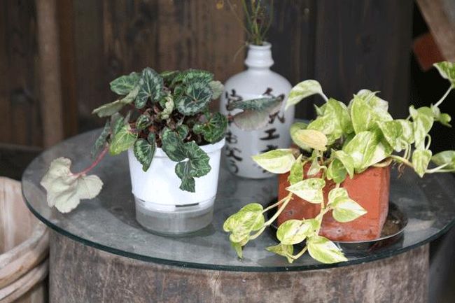 入り口横に置いてありました。