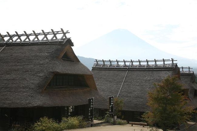 施設内から見た富士山です。