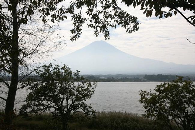 場所を少し東に移動しました。<br />湖畔の道路から富士山を撮ろうとしました。ふと、下を見ると…。何人かいます。(笑)こんなところで何してるの?と、言う感じで見てみると…。(答えは２枚下です。)