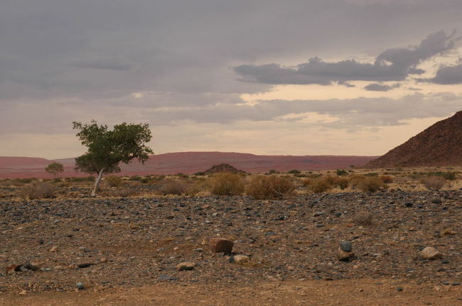 Sesriem Canyon。<br /><br />この近くに１泊しました。<br />まずは着いた日にキャニオン見学。<br />翌日にナミブ砂漠に行きました。