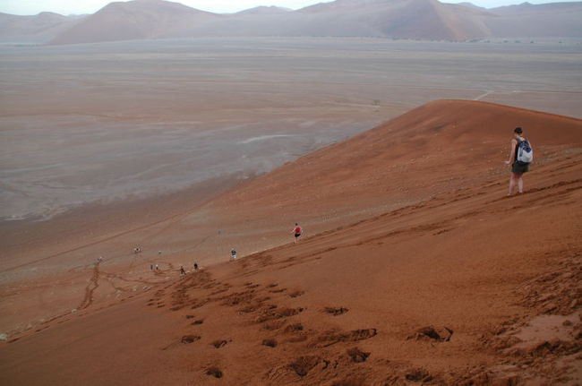 登りはエッジ沿いに来たけど、下りは斜面を駆け下りる人続出。<br />みんな元気だなあ・・・。