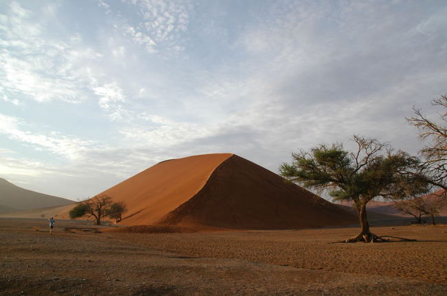 この砂山に上ったのです。<br />頂上らしきとこまで登っても、更に奥まで歩いたから、相当大変だったよ。