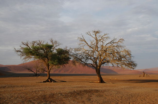 砂山周辺の風景。