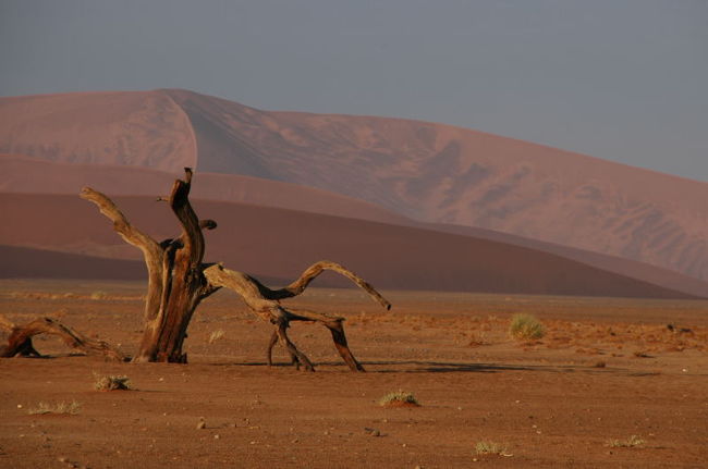 砂山周辺の風景。<br /><br />朝日ツアーはこれでおしまい。<br />砂山のふもとで朝食を頂きました。