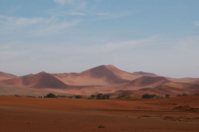ブッシュマンツアー。<br /><br />案内したくれた男性は「ブッシュマンは足が速い。私も早いです。でもムリして早く歩くことないですよ。説明する時には立ち止まりますからね」と言っていた。<br /><br />そりゃ説明する時には立ち止まるだろうけど、最後尾の人が追いつくまで待たずに説明を始めるだろうに・・・。<br />まあ、聞いてもあんまり分かんないからいんだけどさ。