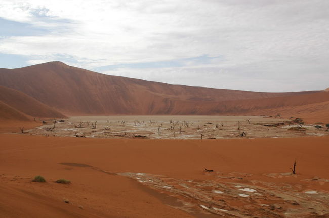 向こうの方に黒い木々が見えるかな？<br />あれは、化石みたいなもんです。<br />ずっと昔に枯れたんだけど、朽ち果てることなくずっと立ち尽くしている不思議な木々。