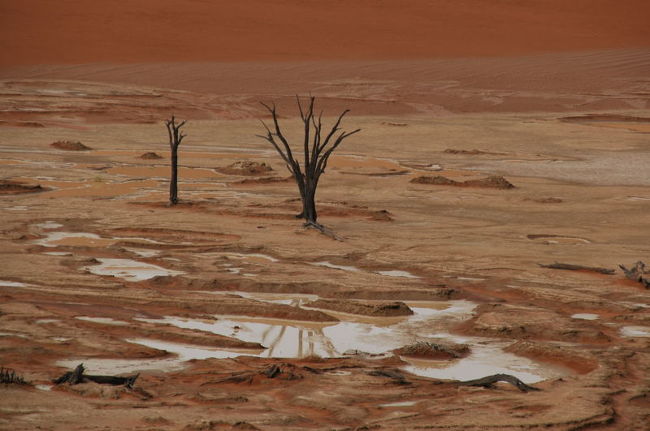 通常なら、この時期はこんなに足元が湿っていないそうだ。<br />異常気象がこんなとこにまで影響している。