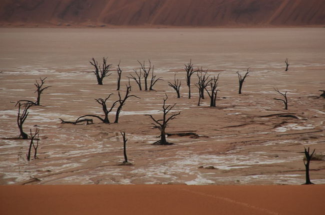 ひとしきり説明を受けた後、この間を歩いたよ。<br />結構ぬかるんでて一苦労だった。