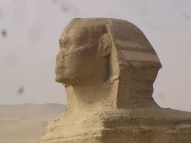 ありふれた、スフィンクス。