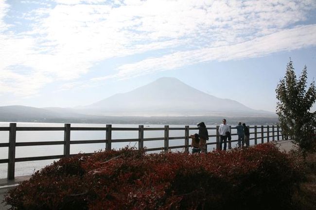 この道は、自転車に乗ってサイクリングや散歩に便利です。