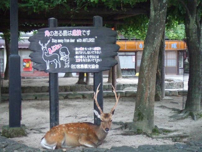 フェリーで１０分ほどで宮島に。<br />島の人たちにとってはこの船が足になってるようで運行は快適。２つくらいの会社がやってますが、どちらも１７０円ほど。<br />そんなこんなで宮島に到着<br />島には鹿がたくさんでここは奈良かと思う程<br /><br />