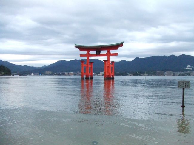 夕方になってからの方がきれいかも。<br /><br />でも時間も遅くなるので一足先にフェリー乗り場へ。<br /><br />鳥居周辺にはカメラを立ててスタンバってる日本人外国人観光客さんたちちらほらといった感じ。