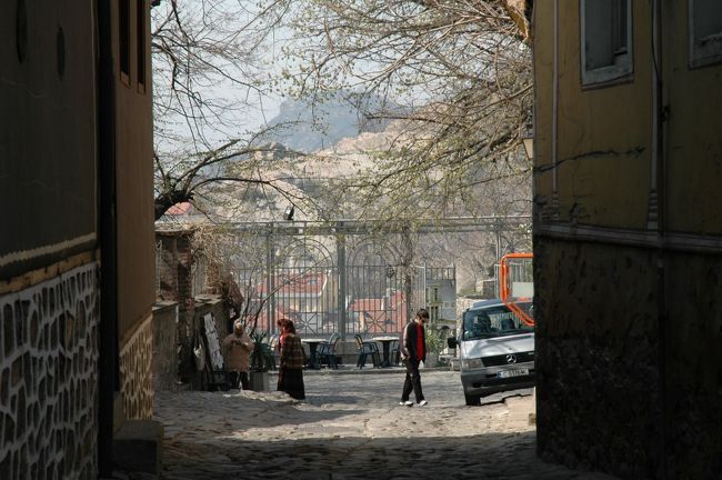 早春のお花がとてもきれいです。