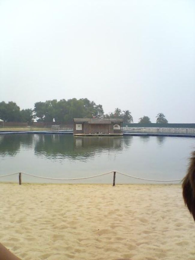 前回は水族館を訪ねたので今回はセントーサ東部を訪ねてみました。ランチはパラワンビーチにあるフードコートで頂きました。スイーツが安くて美味しかったです。<br />ランチ後13時30分からのショーを見学しました。<br />（入場料は水族館と共通です。買う時に既にチケットを持っているか聞かれました）<br />いい席を取りたい場合は少し早く向かった方が良いようでした。