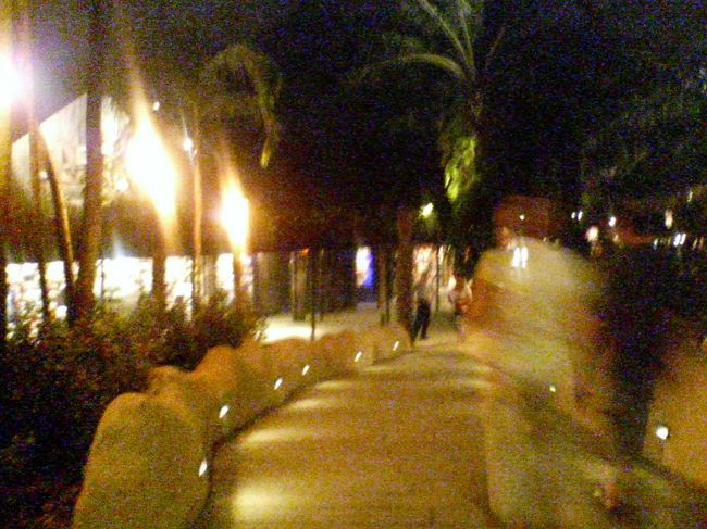 前回は時間がなくて訪ねられなかったナイトサファリへ！<br />ホテルからは地下鉄に乗り、アン・モ・キオ駅へ。<br />ここからバスに20〜30分揺られ到着しました。帰りはオーチャードへの直通バスに乗りましたが、地元の方の生活風景を楽しみたい場合は地下鉄＋バスも楽しいと思います。<br />（写真写りが悪いですが、トラム乗り場の前です･･･。）<br />ナイトサファリでは英語トラムに乗りましたが、夜8時少し前で待ち時間0分で乗る事ができました。<br />本当に動物が目の前（真横にも来ました！）で日本では出来ない貴重な体験をする事ができました。