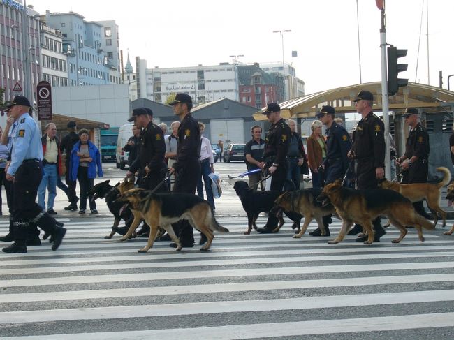 フロイエン山から下りて、ホステルに戻っていると、警察犬を連れた警察官の団体に遭遇。<br />普段の生活をしてて、警察犬を見かけることなんて滅多にないので、これだけたくさんの警察犬を見たのは生まれて初めてでした。