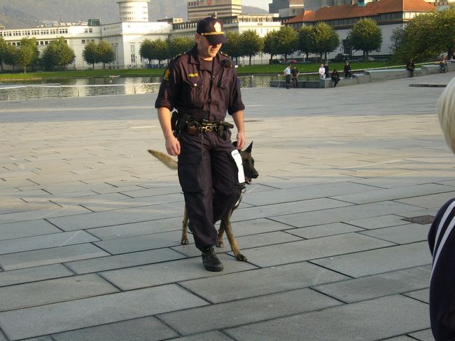 しばらくすると、ほとんどの犬は戻っていったのですが、数組のペアが残り、模範演技の披露がありました。