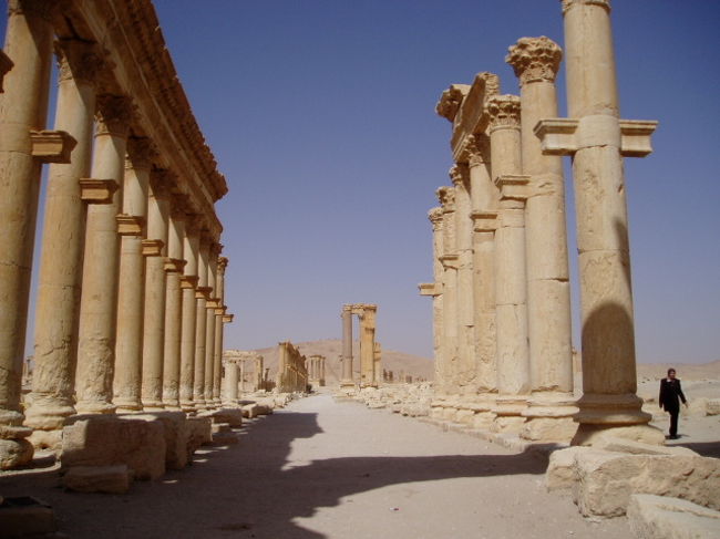 シリアのパルミラ遺跡。<br />神殿と円形劇場のみ有料で、写真の場所やその他広大な遺跡エリアは無料で、自由に出入りできる。