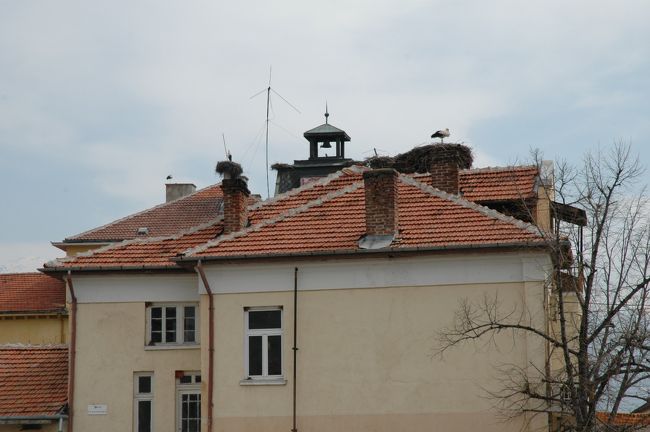 リラの僧院に向かう途中の寒村の建物の屋上にコウノトリの巣が４個も見られました。コウノトリは空気のきれいな場所に住み着くといわれています。毎年、春先になると遠くアフリカからも渡ってくるそうです。