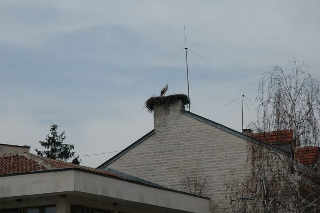 屋根の上にはコウノトリの姿が見えます。