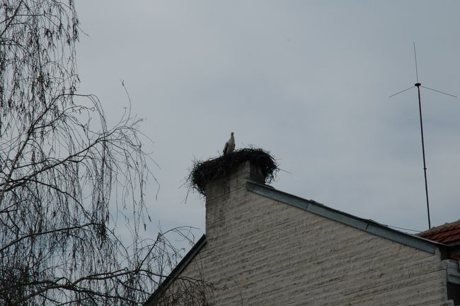 アップしてみますと、よく分かります。