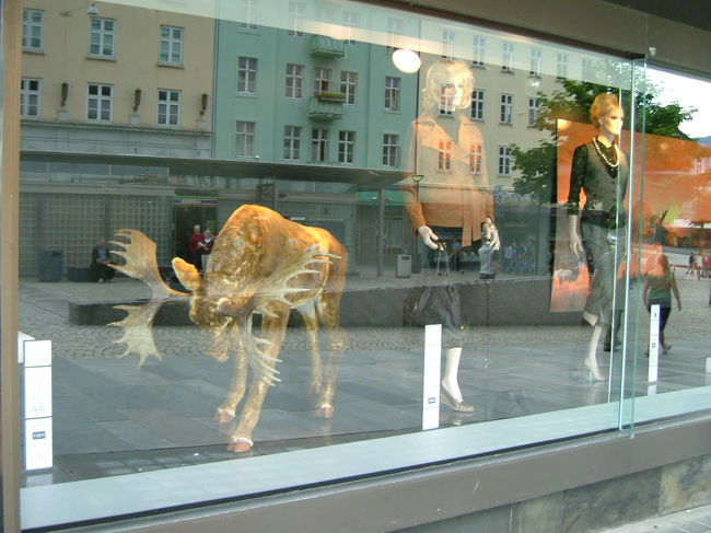 日曜は休みだったデパートのショーウィンドー。日本でトナカイが飾られるのはクリスマスですよね。文化の違いをこんな所でも感じました。