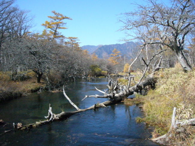 川の水もとっても澄み切っていて、綺麗なコントラスト