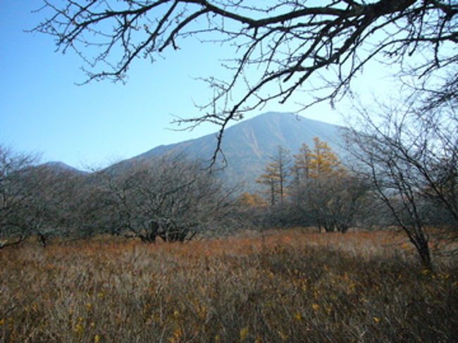 湿原と男体山、なんてお似合いの風景！もぉ感激です！！