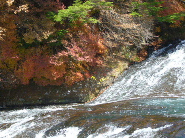 ここが竜頭ノ滝の滝上付近です。