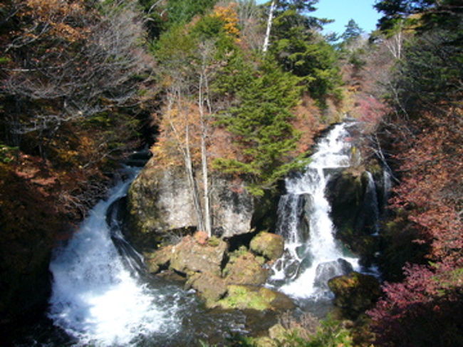 これが紅葉が美しい滝として有名な、竜頭ノ滝です。