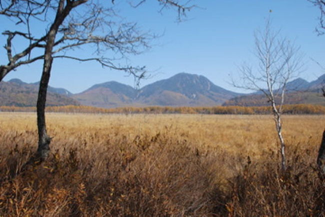 この旅は渋滞のせいで、全く計画が立たない。でもそのお陰で、ここにも立ち寄れました