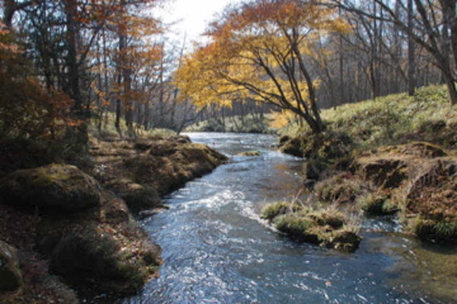 この川を下って行けば、竜頭ノ滝です。