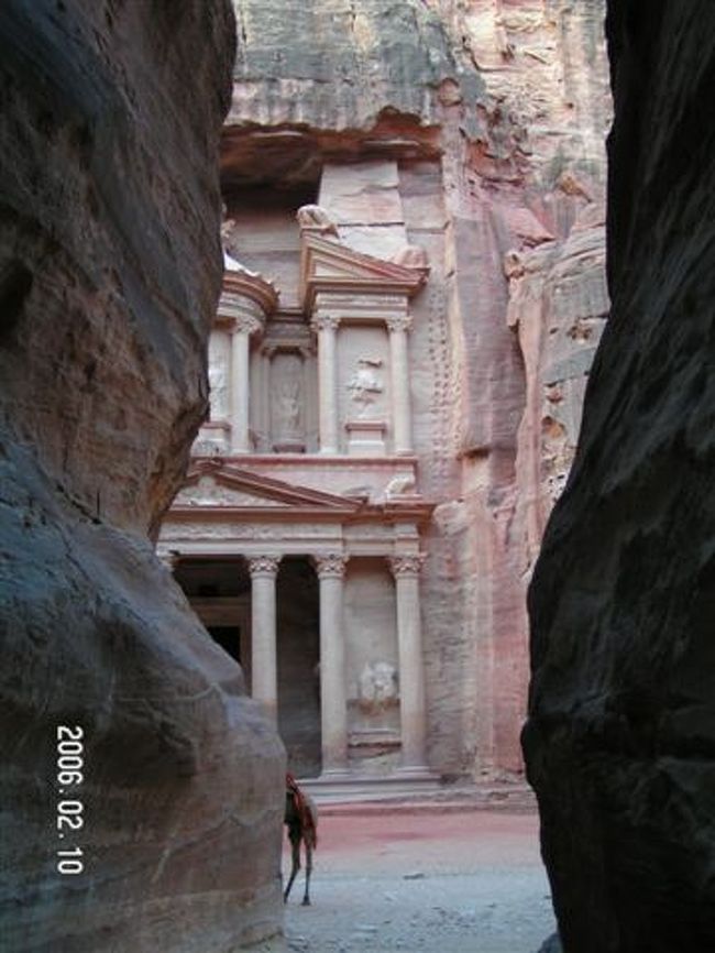 徐々に全容が見えてきます。誰もいないかと思ってましたが、観光客用のらくだはすでに待機していました。ここに住んでいるのか？