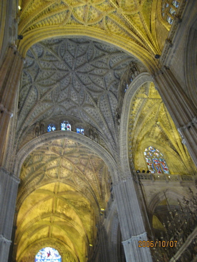 カテドラルの天井