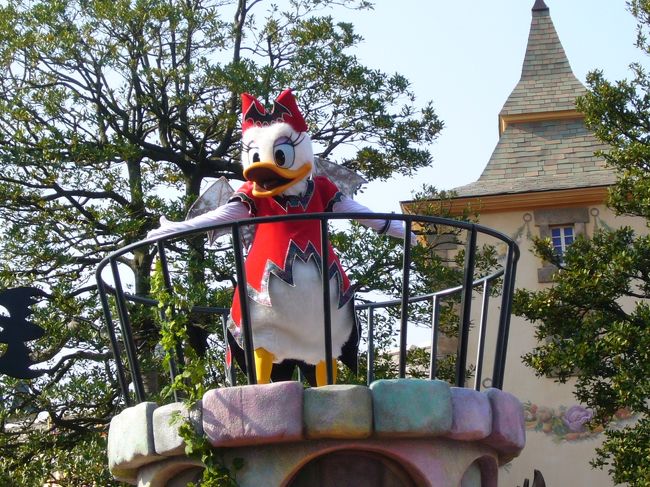 ▼デイジーはコウモリ