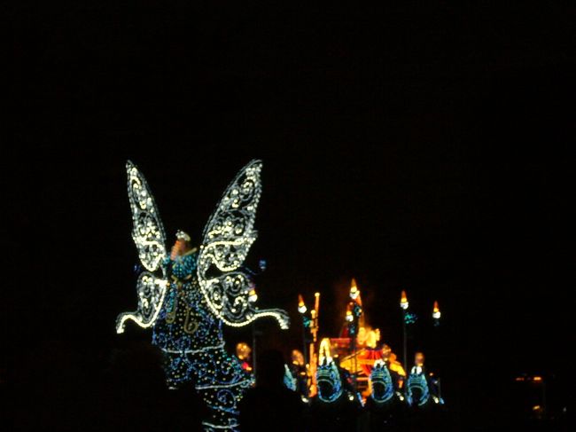 【エレクトリカル・パレード】