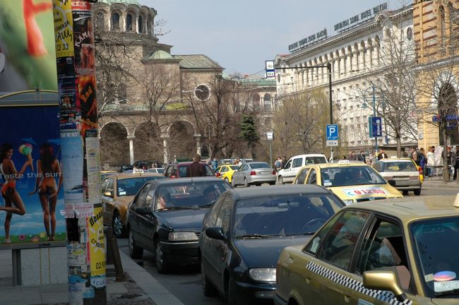 ヴィトシャ通りです。