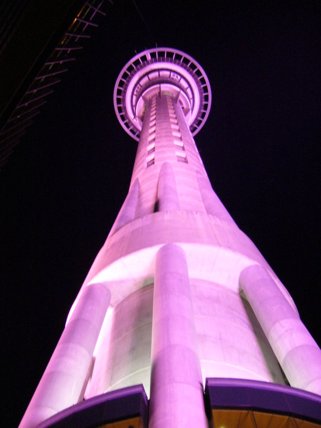 夜のスカイタワー。<br /><br />ピンクにライトアップされます。