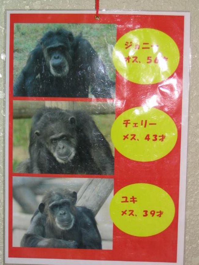 甥っ子と王子動物園 御影 灘 兵庫県 の旅行記 ブログ By はなちゅうたさん フォートラベル