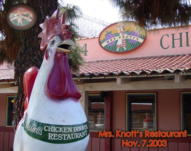 【希少】Knott's Preserved　ナッツベリーファームの歴史　洋書 Knott's Preserved: From Boysenberry to Theme Park, the