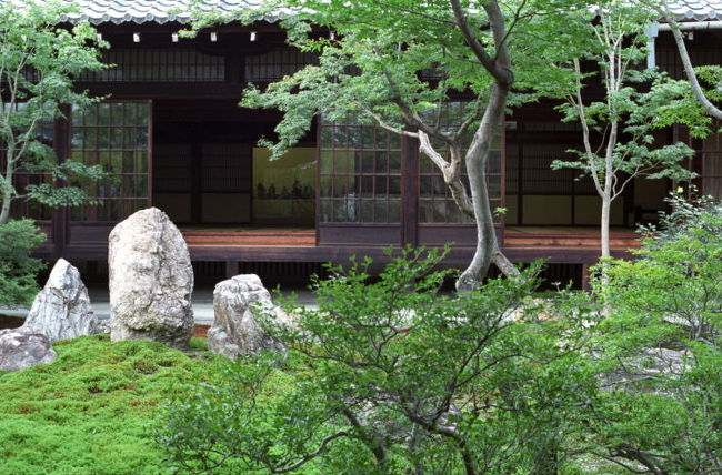 建物内は拝観料を支払って見学することが出来ます。<br />ここは本坊の裏にある潮音庭。潮音というからには、海を表現しているのでしょう。畳に座って静かに目を閉じると潮騒が聞こえてくる…なんてことはありませんでしたが、とてもくつろげる空間でした！