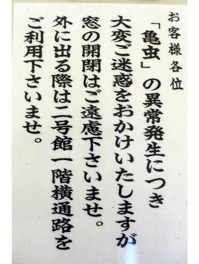 カメムシ大発生で開けられません