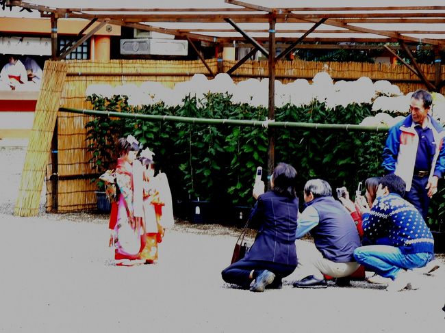 二人の晴れ着を着たお子さんに４人がかりで写真を撮っています。<br /><br />この季節ならではの情景で微笑ましく思いました。<br /><br />